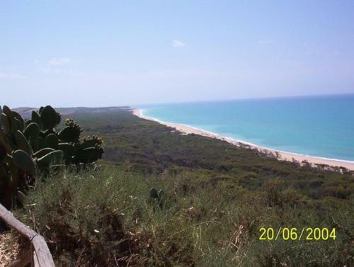 הוילה ריברה Casa Vacanza Platani מראה חיצוני תמונה